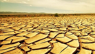 Canvi climàtic: el passat compta