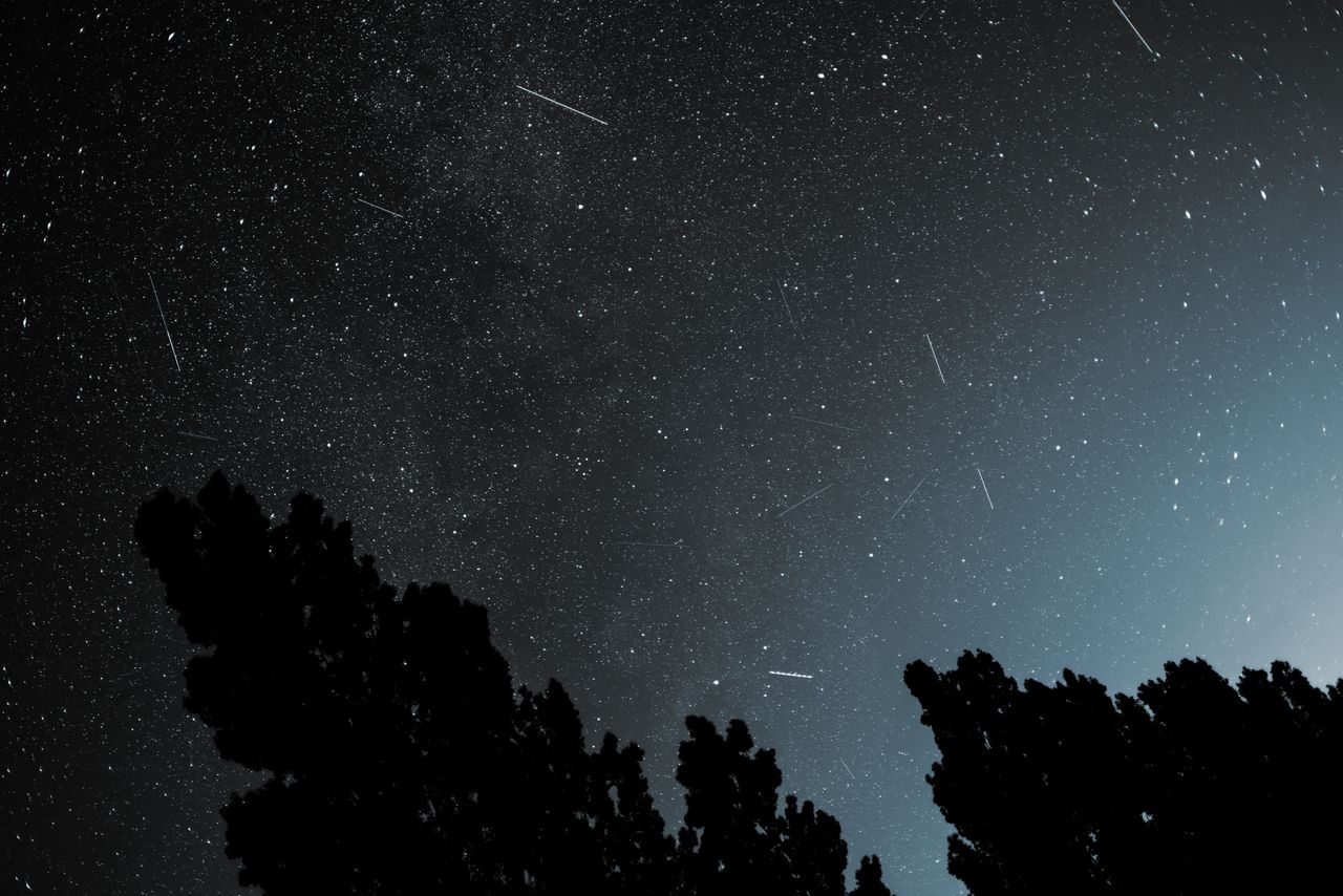 Dramatic starry night sky featuring a meteor shower above silhouetted trees.